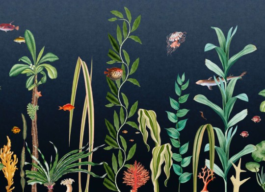 Hovia OC0035DA03W Under The Sea Navy - mural w podwodny pejzaż