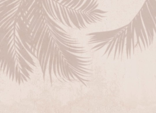 Hovia TR0052NE03W Canopy - mural w liście palm na betonowy tle