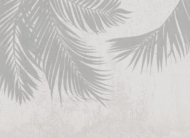 Hovia TR0053GE03W Canopy Gray - mural w liście palm na betonowy tle
