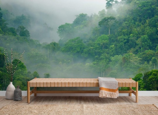 Hovia JU0005GR30W Kaen Krachan - mural w zamglony las deszczowy