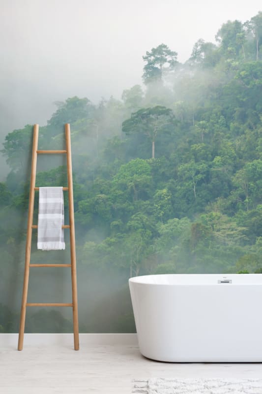 Hovia JU0005GR30W Kaen Krachan - mural w zamglony las deszczowy