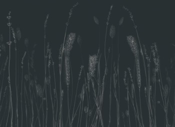 995e236474e7842373cfdbb0f66e31d1