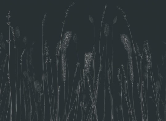 Hovia FL0145DA04W Midnight Meadow - mural w polne trawy