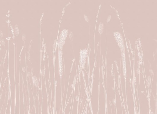 Hovia FL0146PI04W Morning Meadow - mural w polne trawy