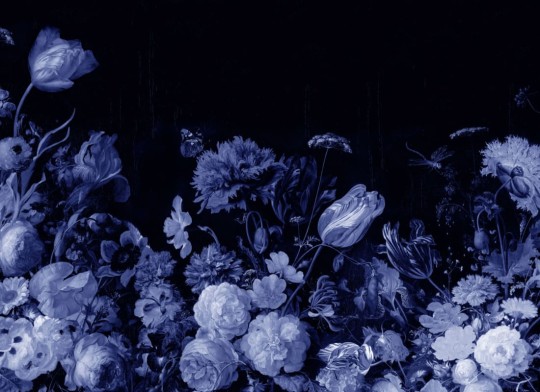 Hovia FL0112DA03W Cornelia Blue - mural w realistyczne kwiaty