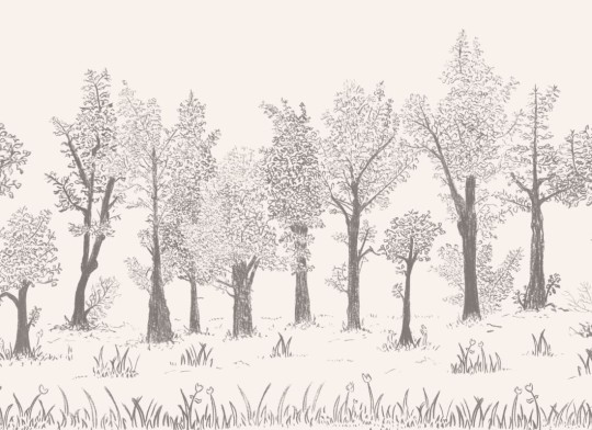 Hovia FO0335GE09W Timber Grey - mural w minimalistyczny leśny pejzaż