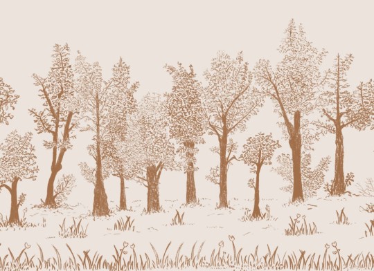 Hovia FO0338BR09W Timber Brown - mural w minimalistyczny leśny pejzaż