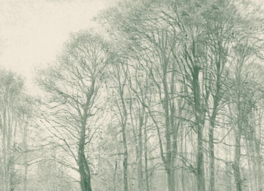 Hovia FO0396GR07W Coppice Teal - mural w drzewa