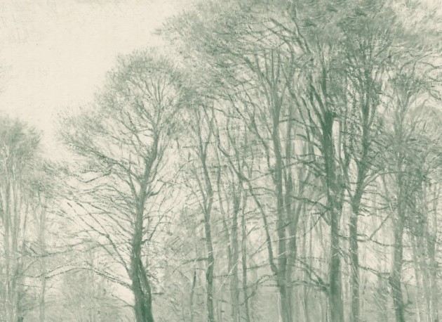 Hovia FO0396GR07W Coppice Teal - mural w drzewa