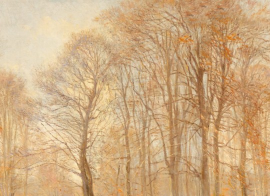 Hovia FO0398OR07W Coppice Orange - mural w drzewa