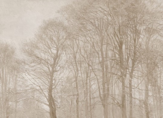 Hovia FO0400BE07W Coppice Beige - mural w drzewa