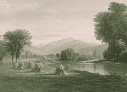 Hovia LA0383GR03W Hayfield Green - mural w roślinny pejzaż