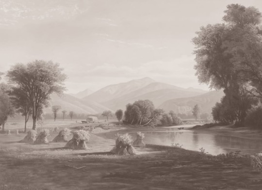 Hovia LA0384GE03W Hayfield Grey - mural w roślinny pejzaż