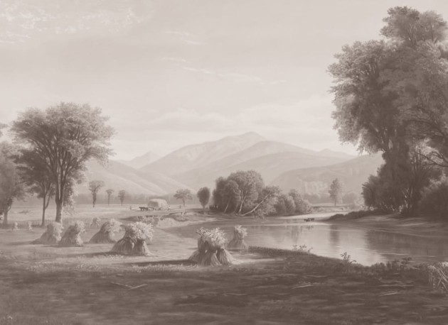 Hovia LA0384GE03W Hayfield Grey - mural w roślinny pejzaż