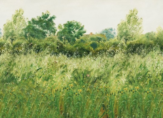 Hovia LA0513GR07W Barley Fields Green - mural w krajobraz łąki