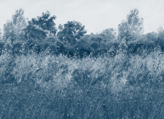 Hovia LA0515BU07W Barley Fields Blue - mural w krajobraz łąki