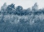 931f15535477f7a7e010463f8271c15c