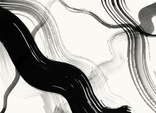 Hovia AB0321BW04W Brush Monochrome - mural w abstrakcyjne linie