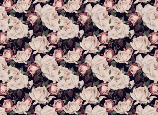 Hovia FL0012PI30W Corsage - mural w realistyczne kwiaty