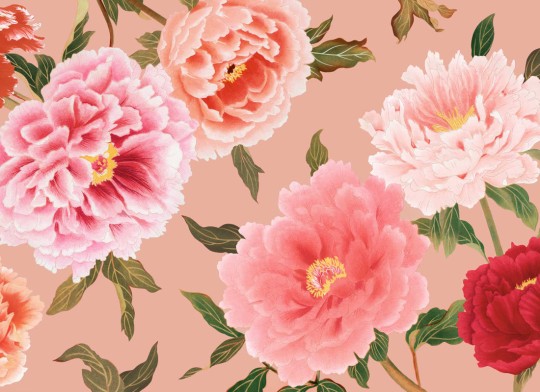 Hovia FL0137PI03W Zakura - mural w piwonie