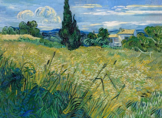 Hovia AR0051BU30W Wheat Field - mural w obraz Vincenta Van Gogha