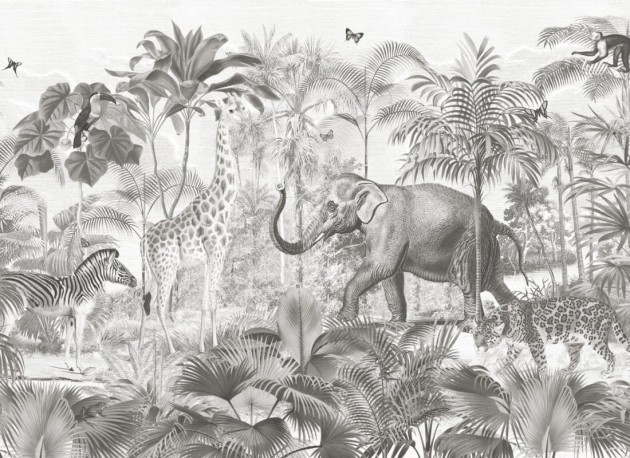 Hovia AN0531GE04W Sumatra Grey - mural w egzotyczne zwierzęta i rośliny