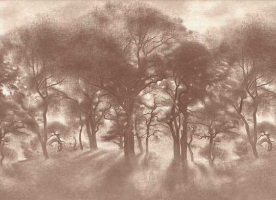 Hovia FO0510BR07W Smokey Forest Brown - mural w leśny pejzaż