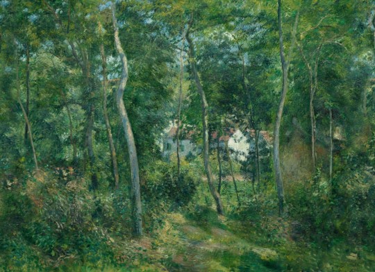 Hovia FO0516GR07W Wild Wood Green - mural w krajobraz lasu