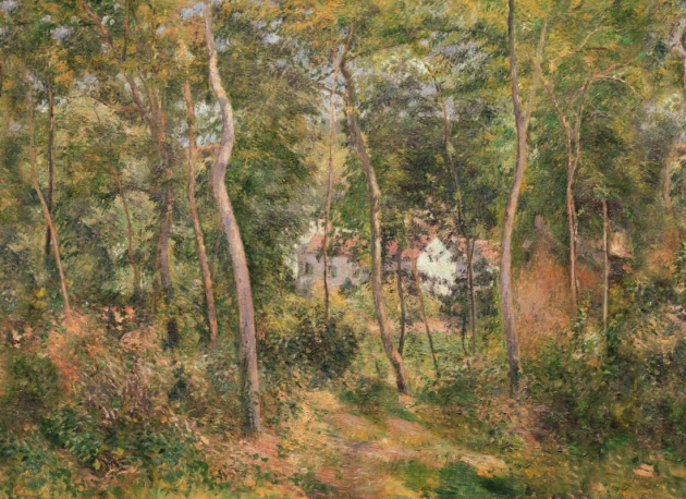 Hovia FO0517GR07W Wild Wood Classic - mural w krajobraz lasu