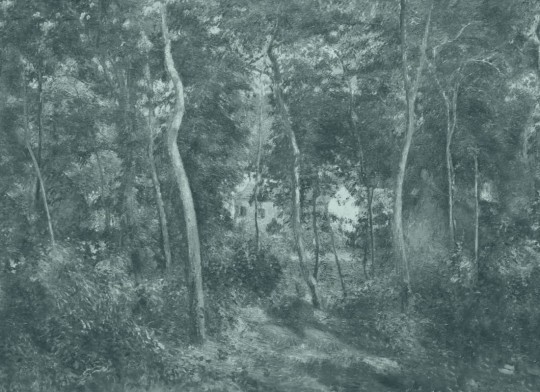 Hovia FO0518BU07W Wild Wood Blue - mural w krajobraz lasu