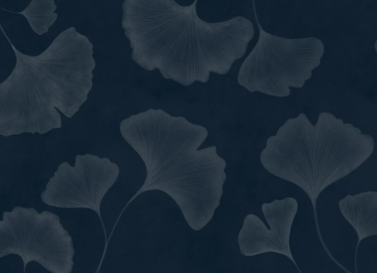 Hovia LE0599DA06W Ginkgo Navy - mural w duże liście miłorzębu japońskiego