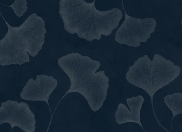 Hovia LE0599DA06W Ginkgo Navy - mural w duże liście miłorzębu japońskiego