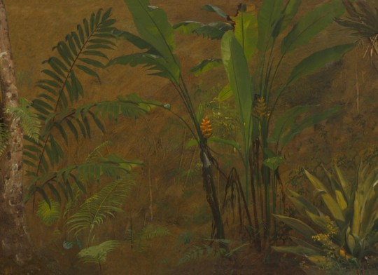 Hovia TR0601GR04W Verdure - mural w dżunglę