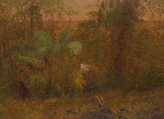 Hovia TR0603GR04W Elysium - mural w dżunglę