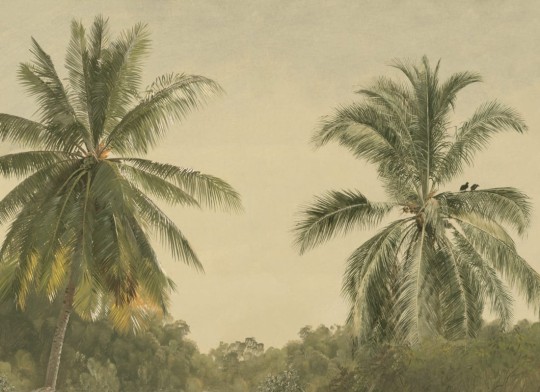 Hovia TR0604NE04W Zamia - mural w palmy