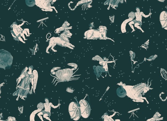 Hovia VT5496GR03W Astrology Teal - mural w astrologiczny motyw