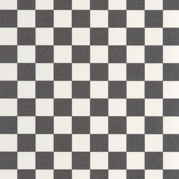 Caselio 106749000 Line Up Checks Noir – tapeta w kratkę