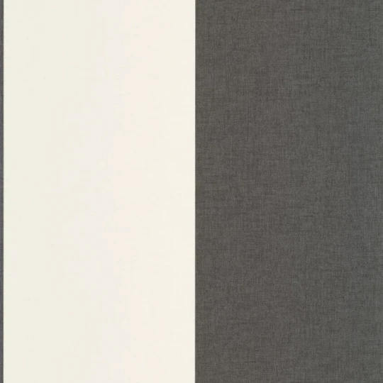 Caselio 106729090 Line Up XXL Lines Noir – tapeta w pasy