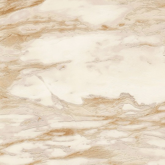 Roberto Cavalli RC21024 No.9 – tapeta marmur