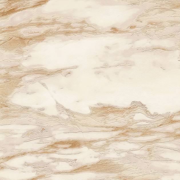 Roberto Cavalli RC21024 No.9 – tapeta marmur