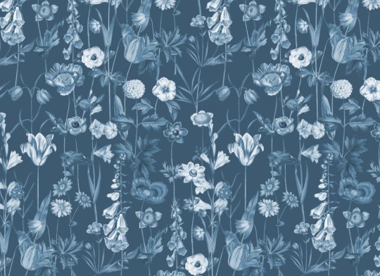 Hovia FL5257BU03R Posie Blue - tapeta w polne kwiaty