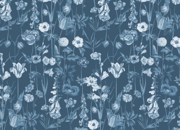 Hovia FL5257BU03R Posie Blue - tapeta w polne kwiaty