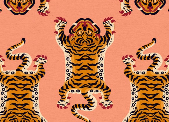 Hovia AN5014OR03R Tibetan - tapeta w tygrysa tybetańskiego