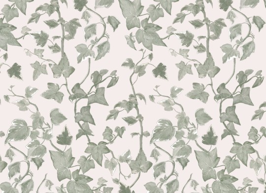 Hovia LE5248GR03R Vine Green & White - tapeta w bluszcz