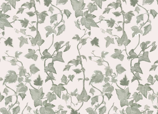 Hovia LE5248GR03R Vine Green & White - tapeta w bluszcz