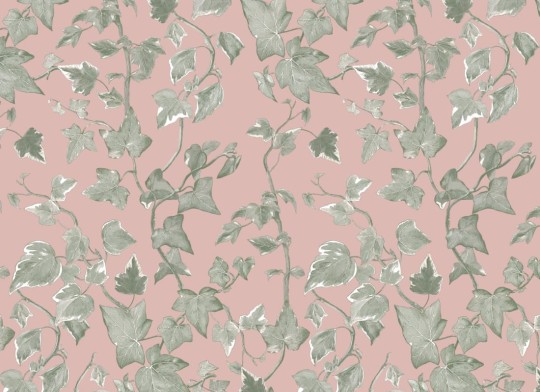 Hovia LE5250PI03R Vine Green & Pink - tapeta w bluszcz