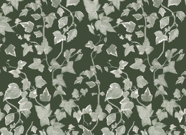 Hovia LE5249GR03R Vine Green - tapeta w bluszcz