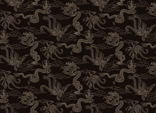 Hovia MX5567DA06R Dynasty Dark - tapeta w smoki