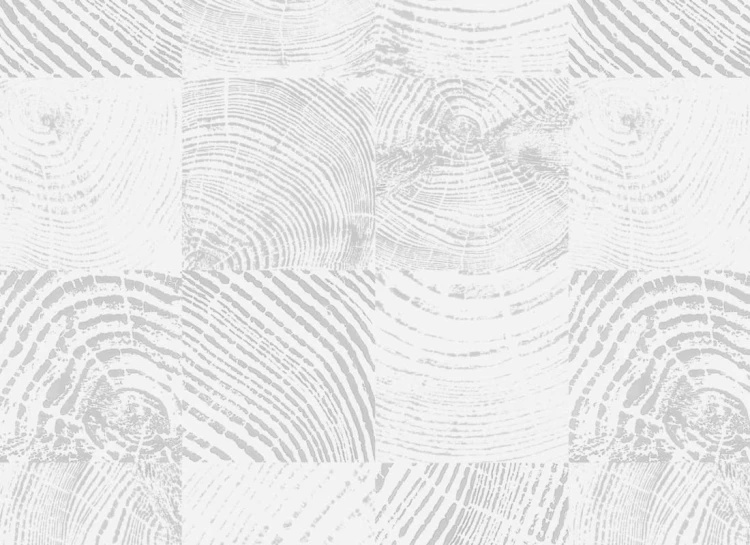 6e231edc7e0165c4751ccea3af88c3ae
