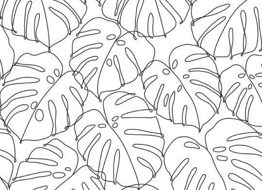 Hovia TR5048BW04R Deliciosa Monochrome - tapeta w liście monstery